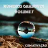 Números Grabovoi - Números Grabovoi, Vol. 7: Com Ativação